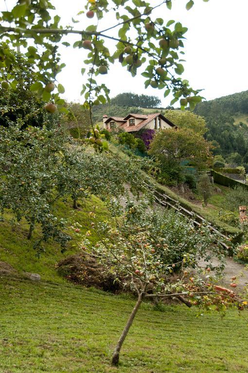 Trisqueles Y Buganvillas Villaviciosa  Kültér fotó