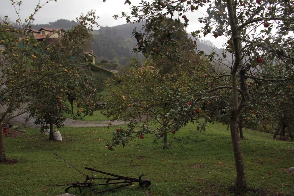 Trisqueles Y Buganvillas Villaviciosa  Kültér fotó